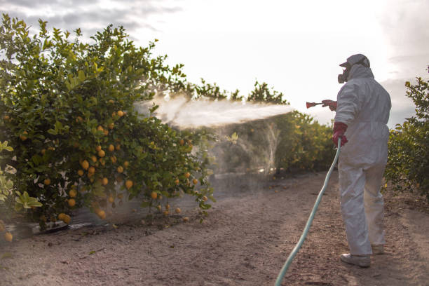 Best Best Pest Control Companies  in Bothell, WA