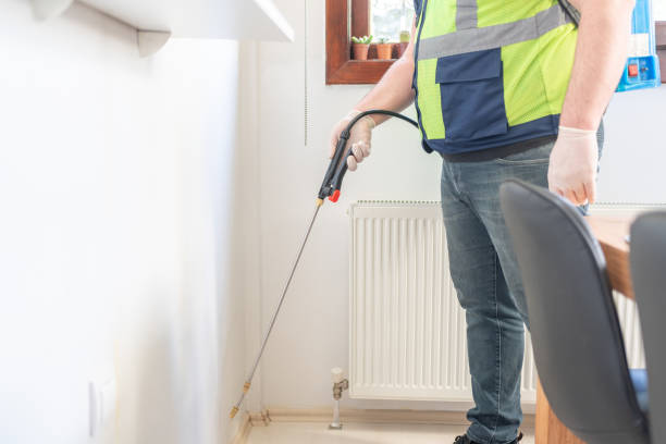 Trusted Bothell, WA Pest Control Experts