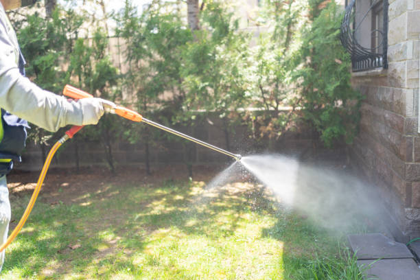 Best Mosquito Control Services  in Bothell, WA