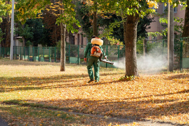 Best Wasp Removal Services  in Bothell, WA