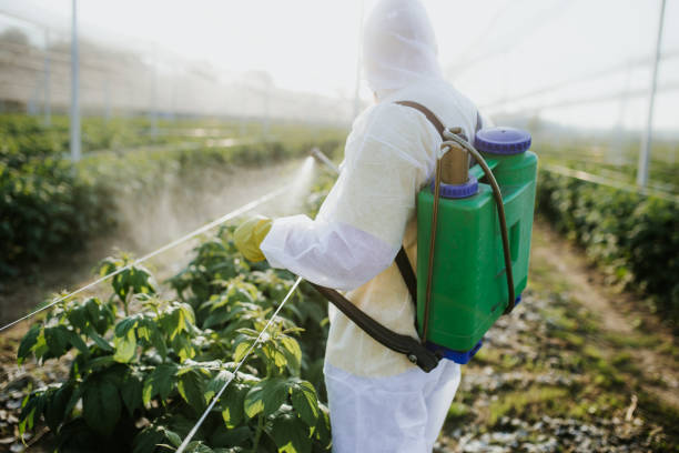 Best Pest Control Near Me  in Bothell, WA